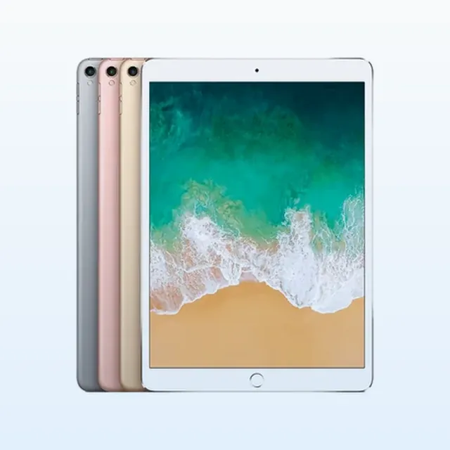 Free Apple iPad (Wi‑Fi) government phone with Lifeline service – front and back view