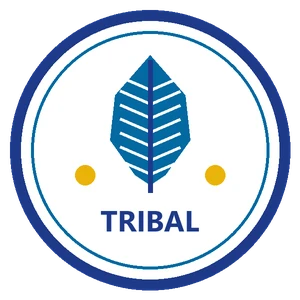 Tribal assistance programs icon